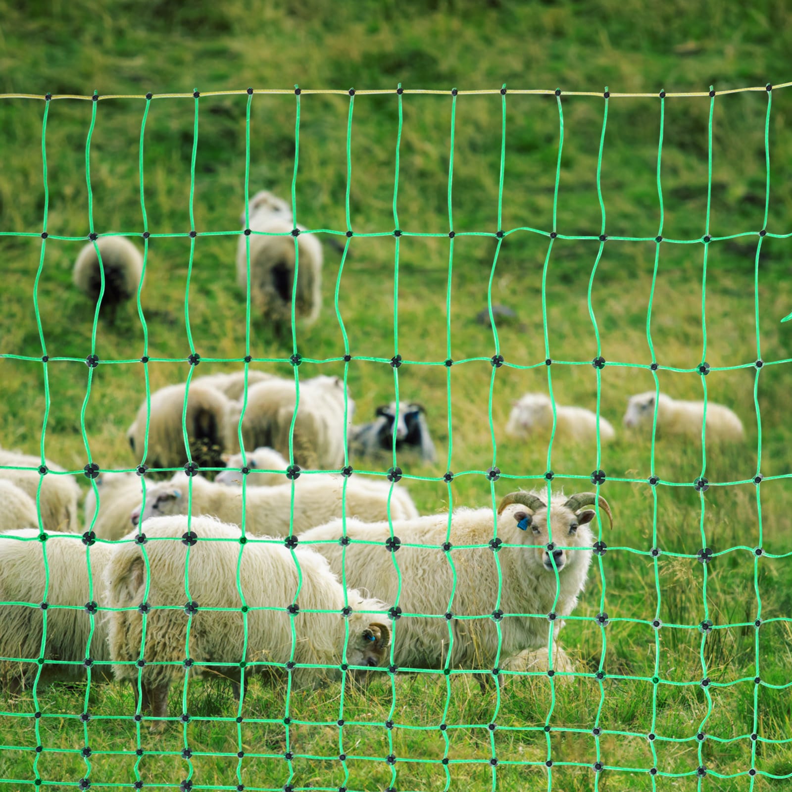 Electric Fence Netting, 42" H X 164' L, PE Net Fencing With Posts & Double-Spiked Stakes, Utility Portable Mesh For Goats, Sheep, Lambs, Deer, Hogs, Dogs, Used In Backyards, Farms, And Ranches_maomaolike.com